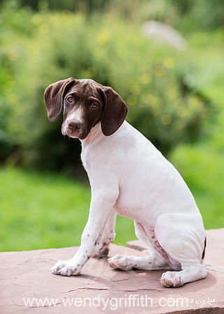 Molly-6238
