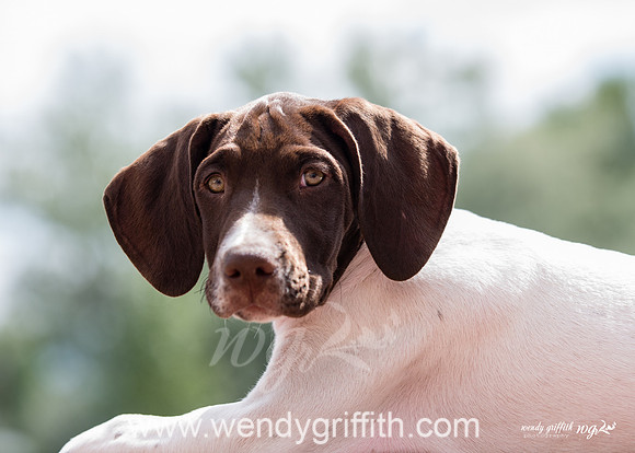 Molly-6257