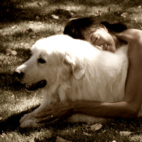 Pets