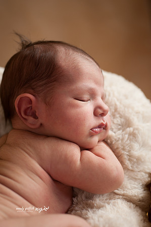 28_WendyGriffithPhoto