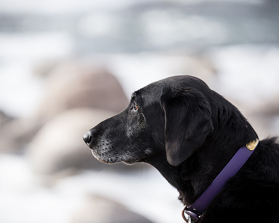 09_Kona