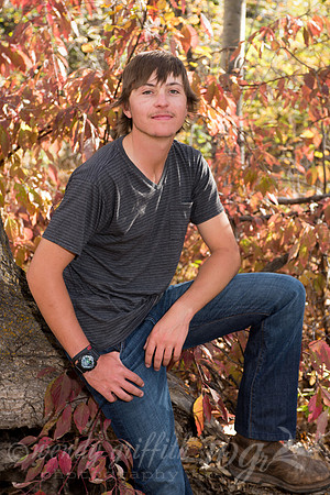 14_Barron