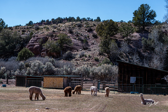 016_Big Hat Ranch