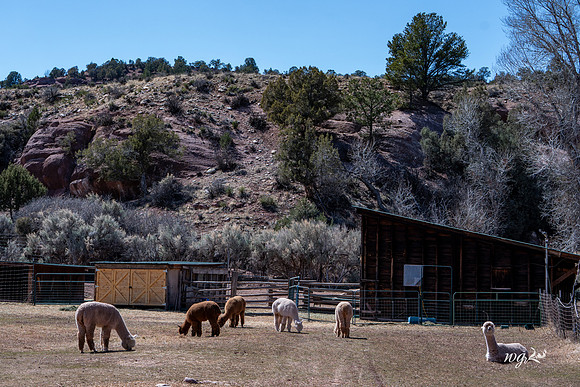 015_Big Hat Ranch