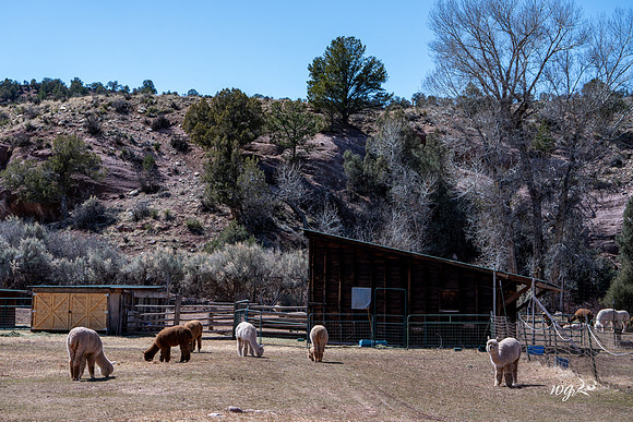 014_Big Hat Ranch