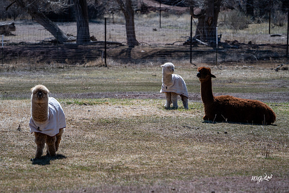 007_Big Hat Ranch