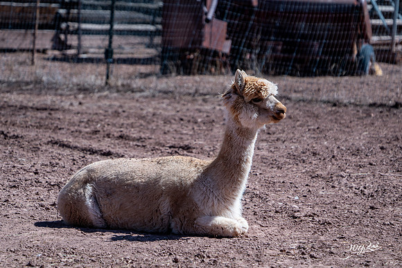 002_Big Hat Ranch