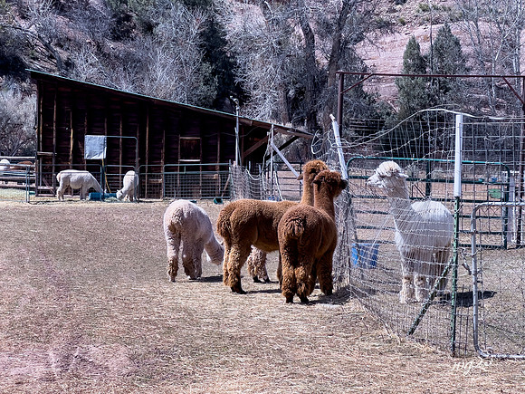 001_Big Hat Ranch