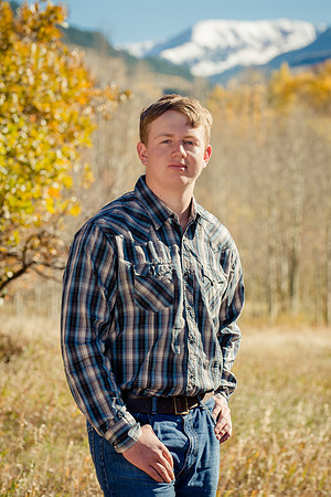 03_Walsh-T-T