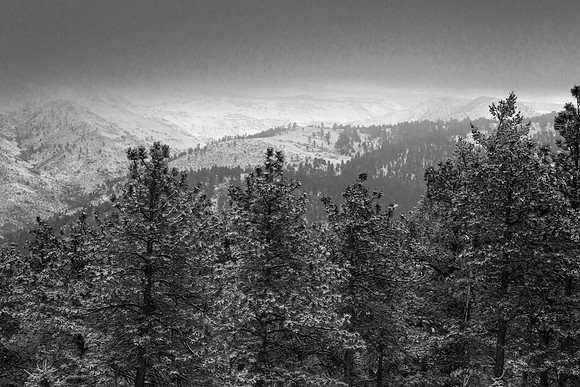 0773_020115