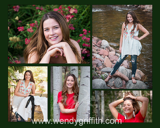 Taylor collage 1