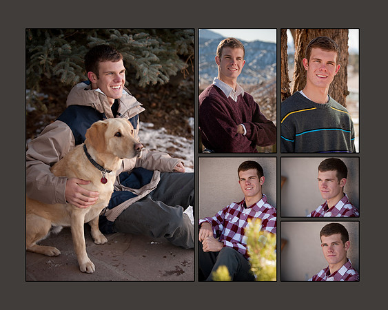Senn collage 1