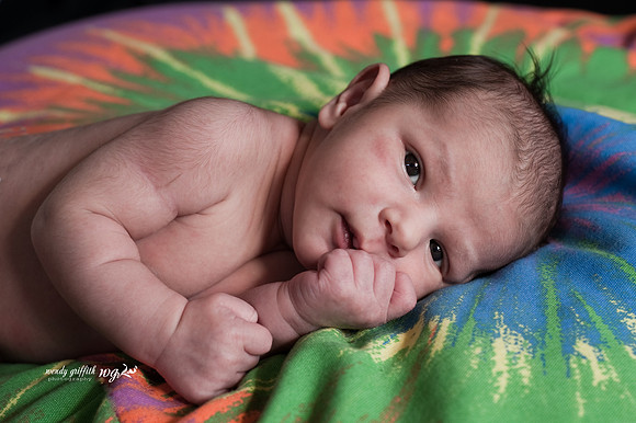 40_WendyGriffithPhoto