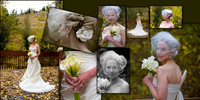 Wedding Albums