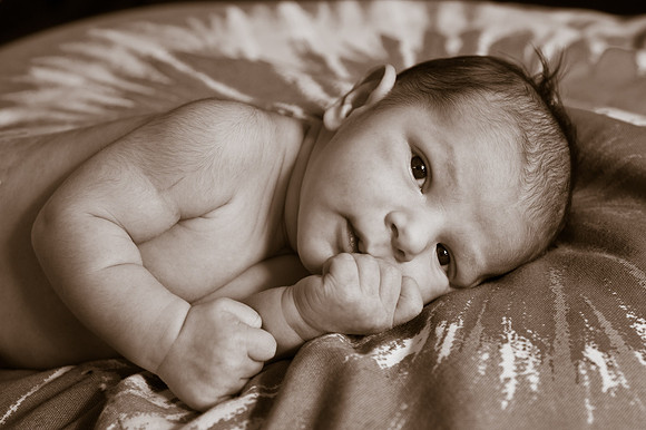 28_Conrad042012-T